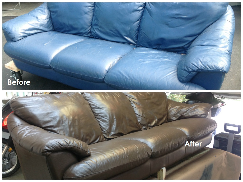 Fibrenew Port Richey