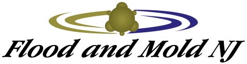 Flood and Mold NJ