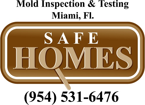 Safe Homes Environmental Consultants