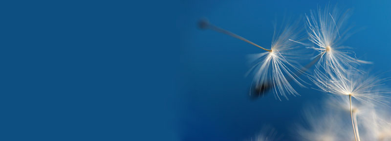 John Bacash Counselling Psychologist