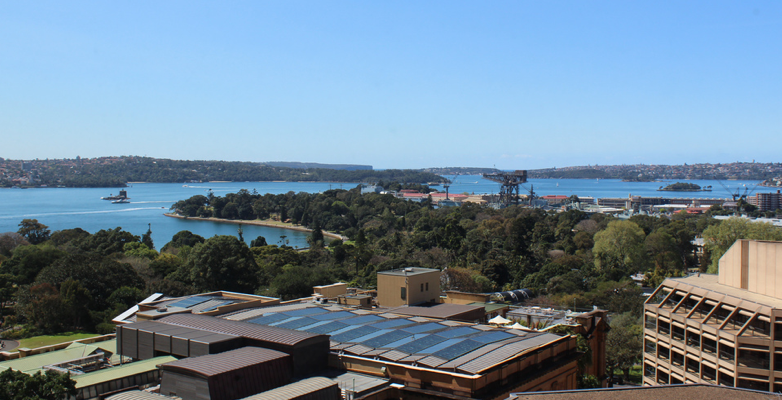 Dental Implants Professionals