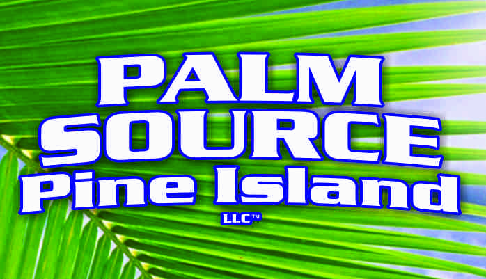 Palm Source Pine Island LLC