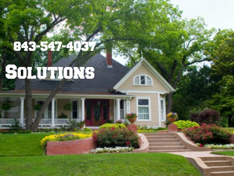 Hilton Head Landscape