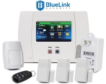 BlueLink Security