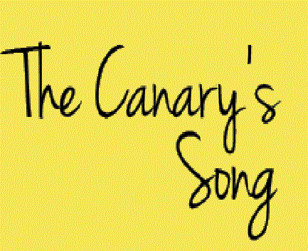 Silver Stem Fine Cannabis Nederland Dispensary