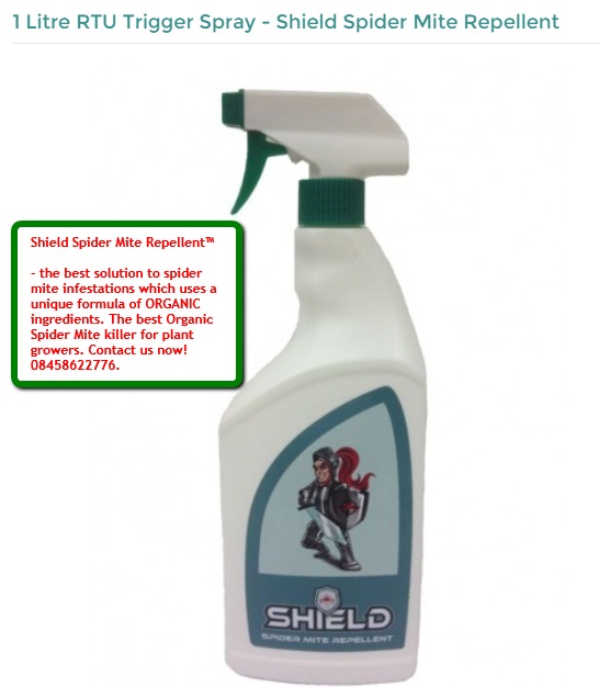 Shield Spider Mite Repellent 