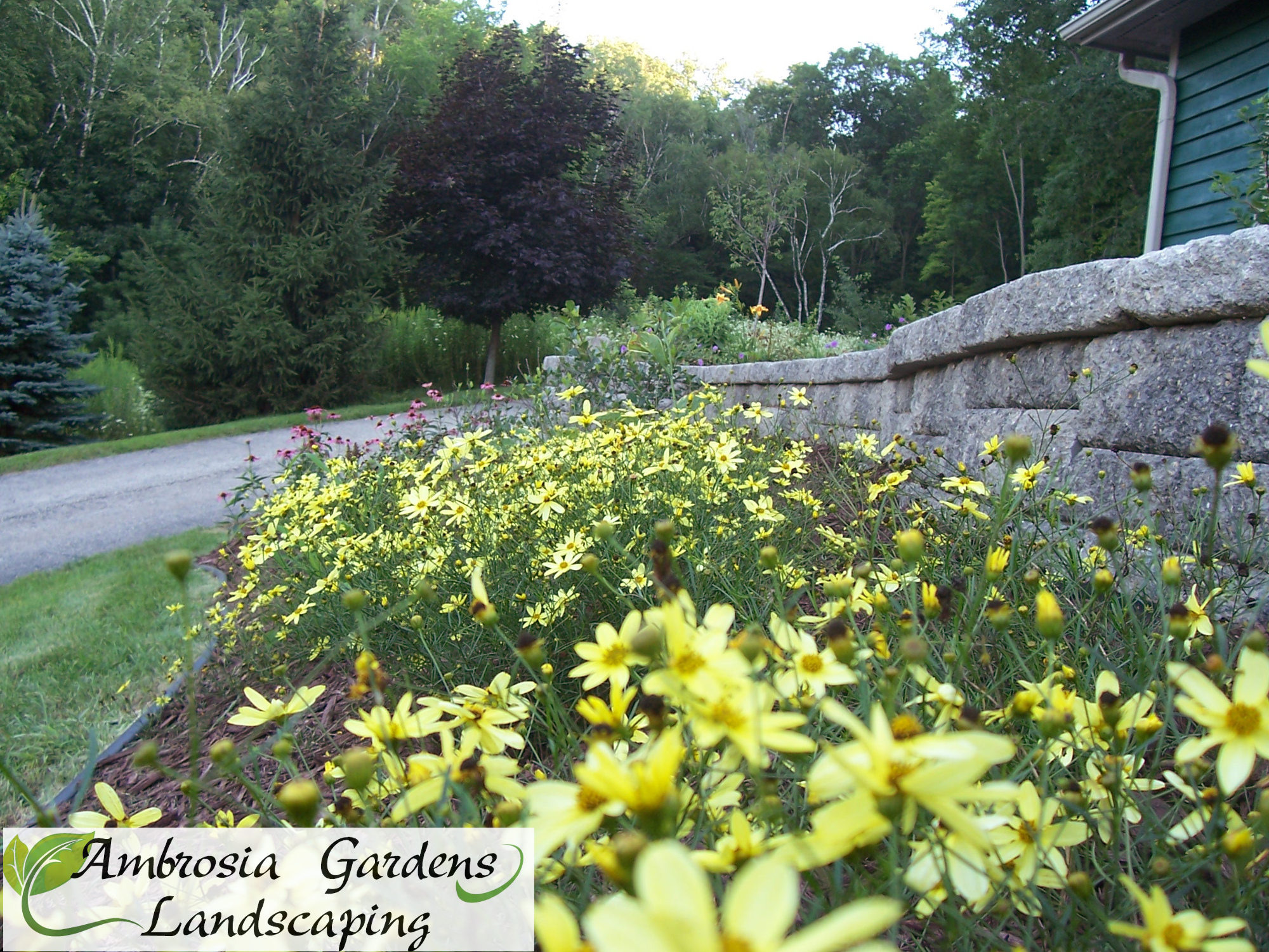Ambrosia Gardens Landscaping 