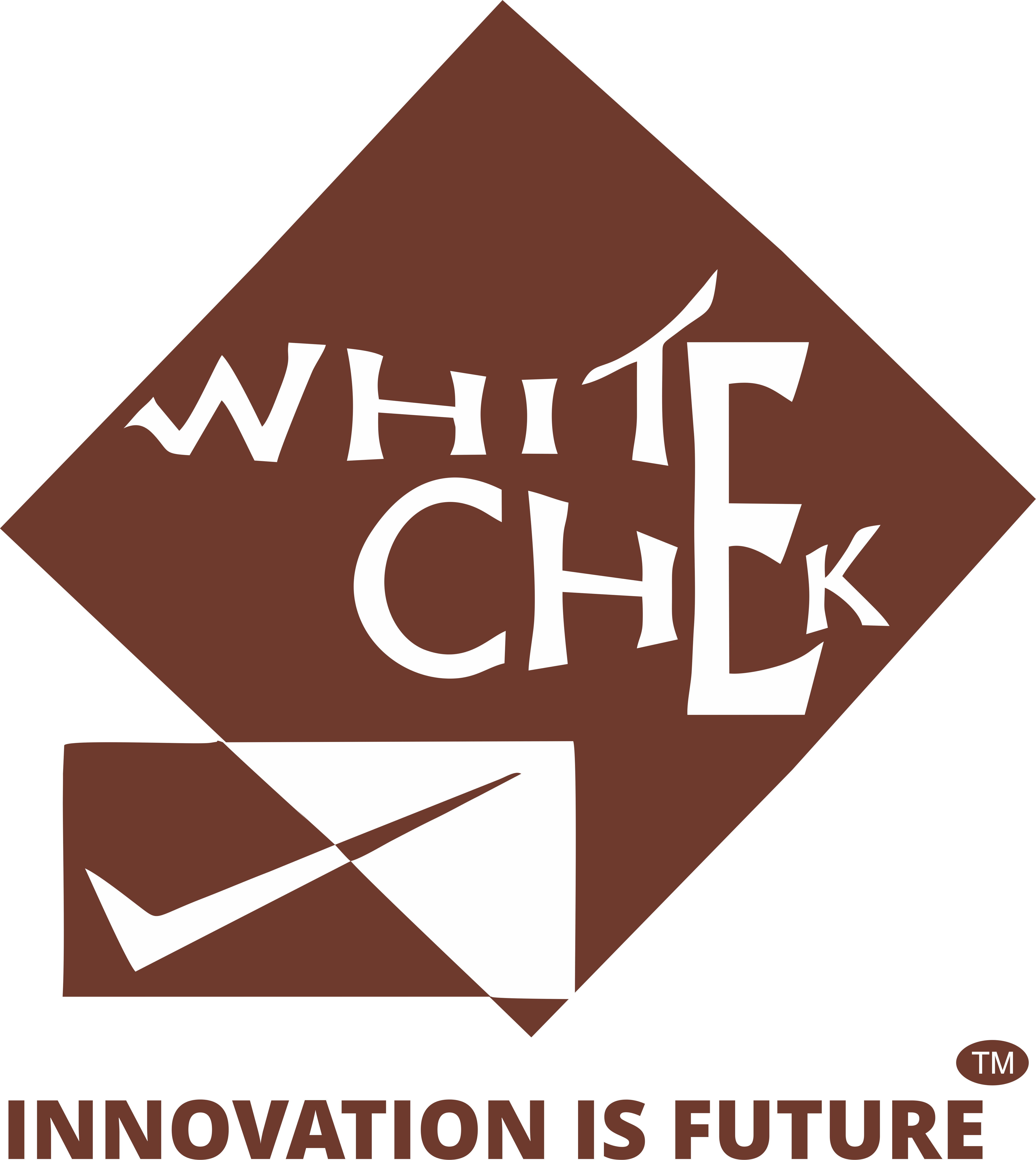 WhiteChek IT Services