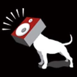 Pitbull Audio | San Diego