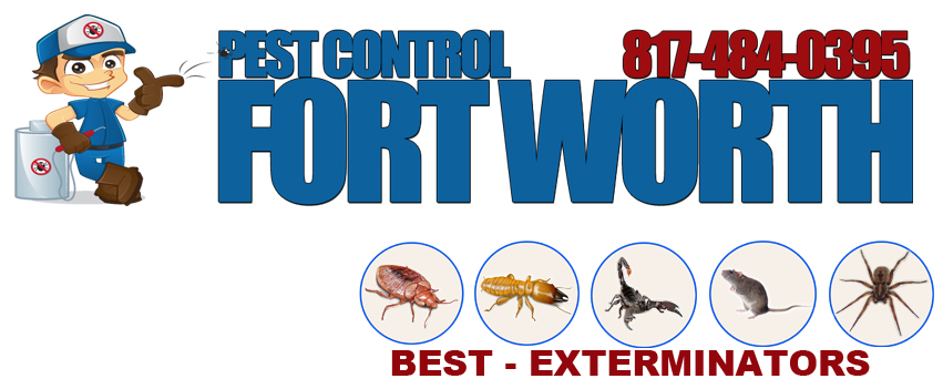 Pest Control Fort Worth