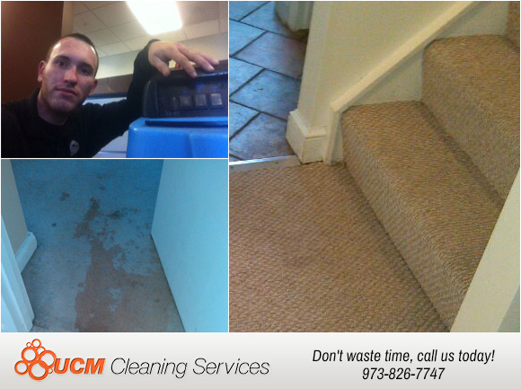 UCM Carpet Cleaning Wayne