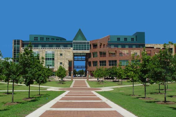 Earthwise House Cleaning