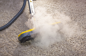 Dothan Carpet Cleaning