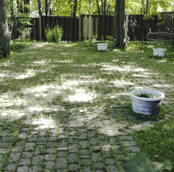 Crystaller Quality Sealing