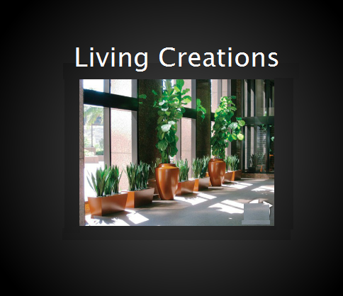 Living Creations