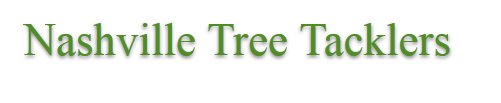Nashville Tree Tacklers