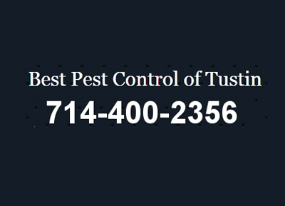 Best Pest Control of Tustin