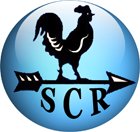 South Charlotte Realty