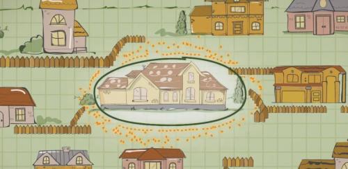 Greenville Pest Control