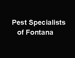 Pest Specialists of Fontana