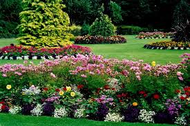 Grizzly Executive Landscaping Services