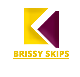 Brissy Skips