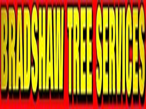 Bradshaw Tree Services