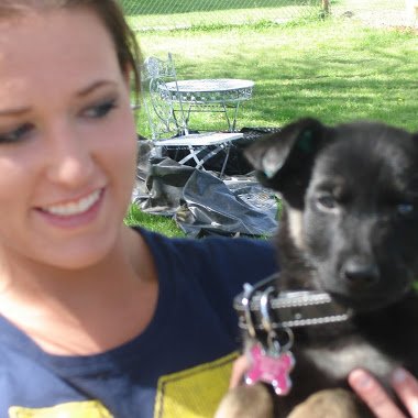 Pet Sitting North Phoenix