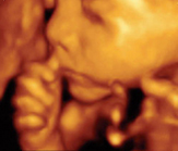 Life Through the Lens