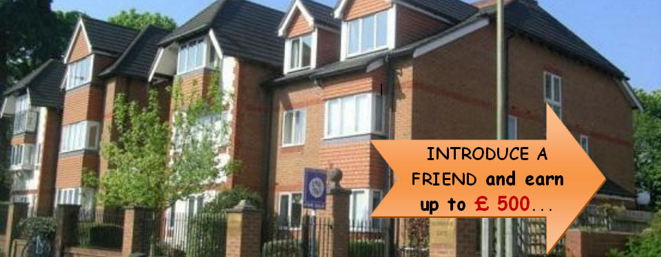 Real Acorn Property Solutions