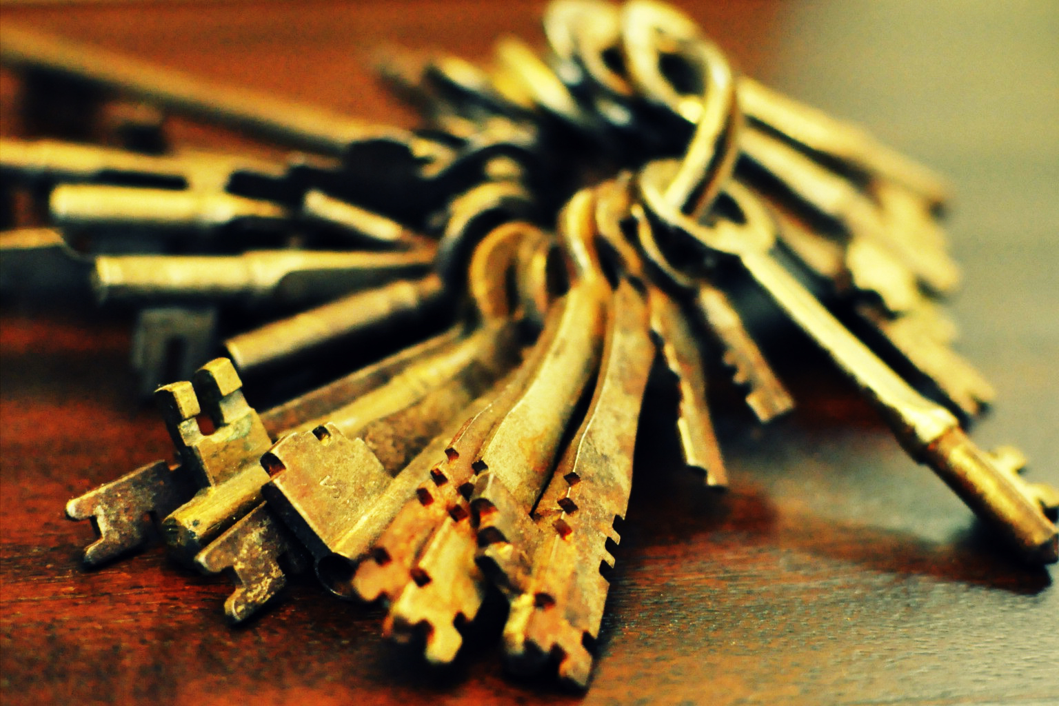 All In One Security Inc.