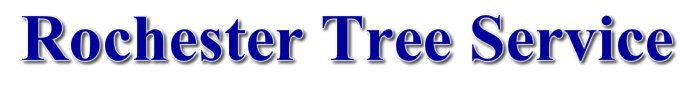 Rochester Tree Service
