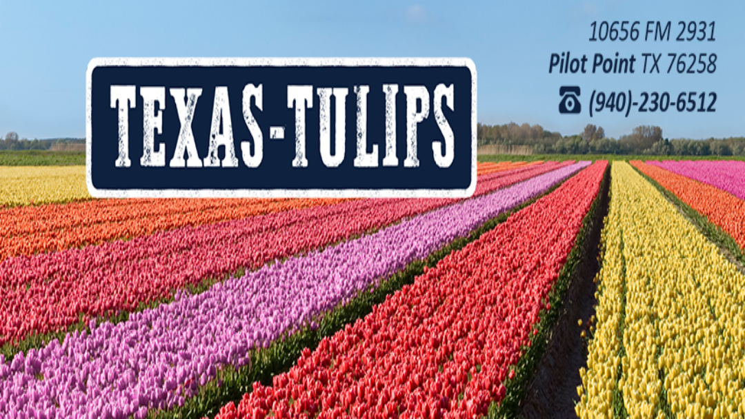 Texas-Tulips, LLC