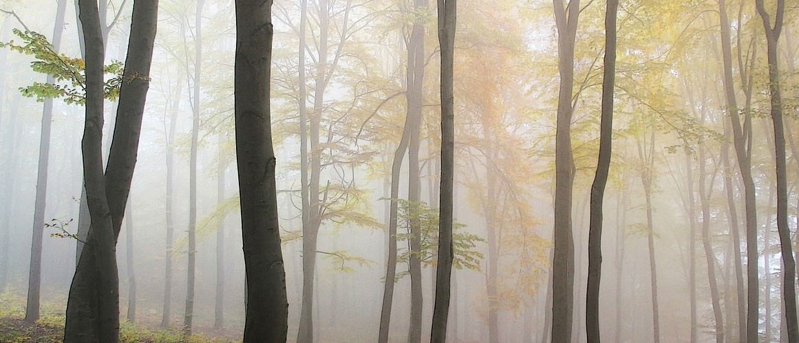 Superior Family Funeral Care