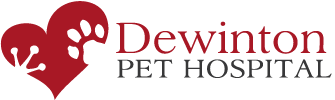 Dewinton Pet Hospital