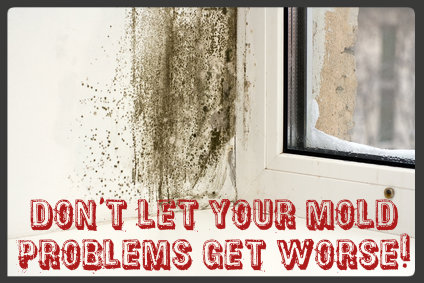 Mold Remediation Pros - San Jose