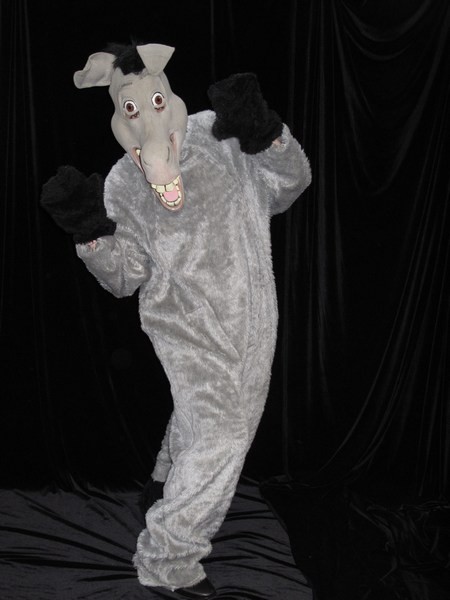 Heidelberg Fancy Dress