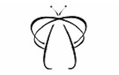 The Psych Professionals