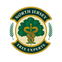 North Jersey Tree Experts
