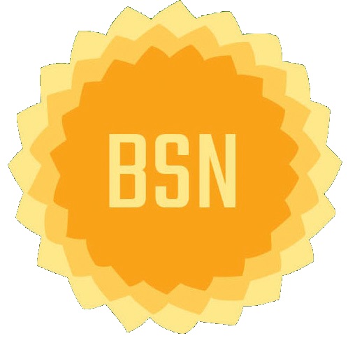 Brisbane Solar Needs