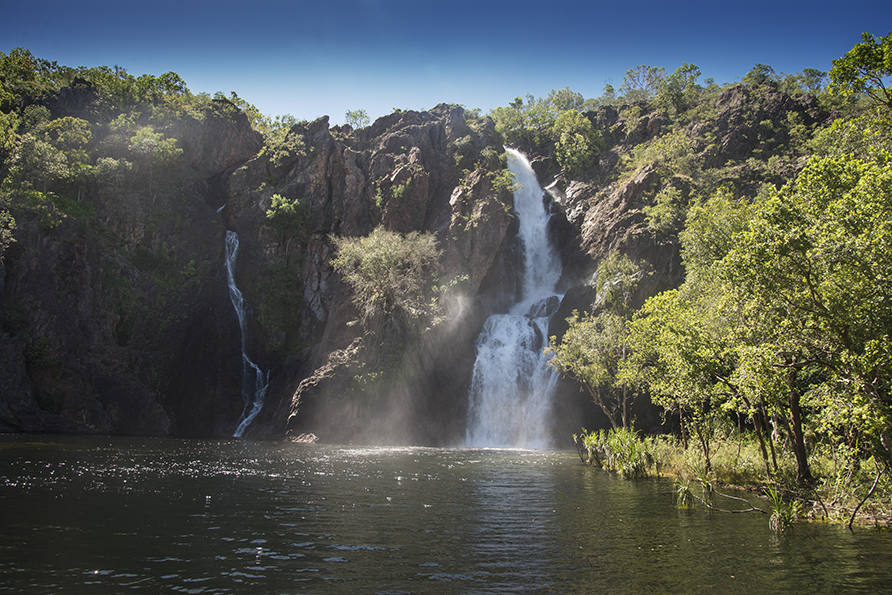 Precious Times Photography