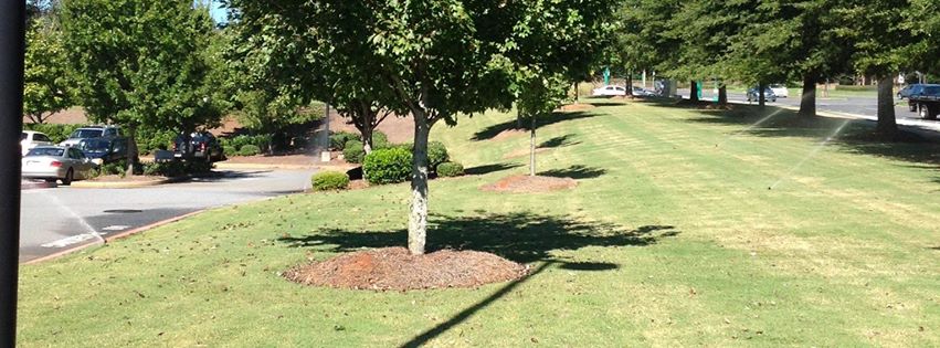 Elite Irrigation Maintenance