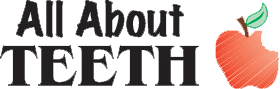 All About Teeth