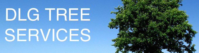 DLG Tree Services