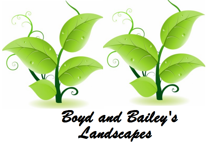 Boyd and Bailey's Landscapes