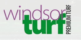 Windsor Turf 