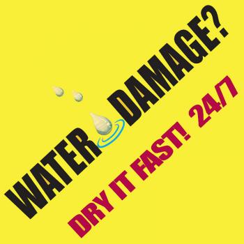 DryMore Water Damage Pearland