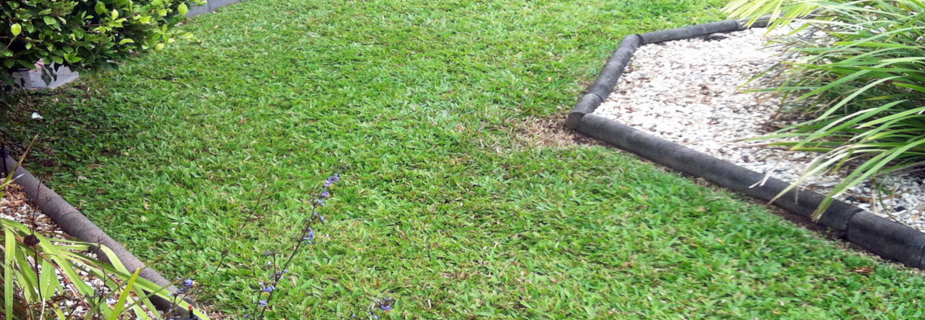 Silver Fox Garden Maintenance