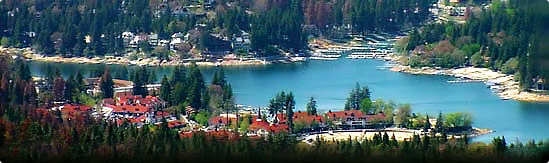 JoAnn Dickinson Group