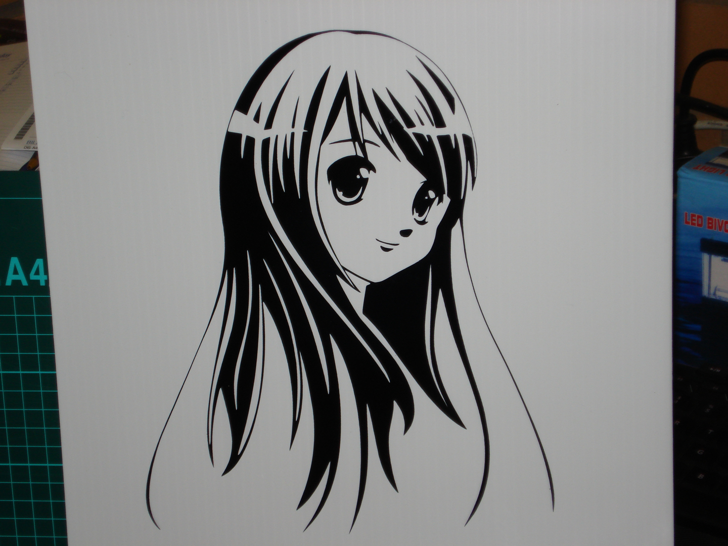 Tantrum Tech Vinyl Signage 